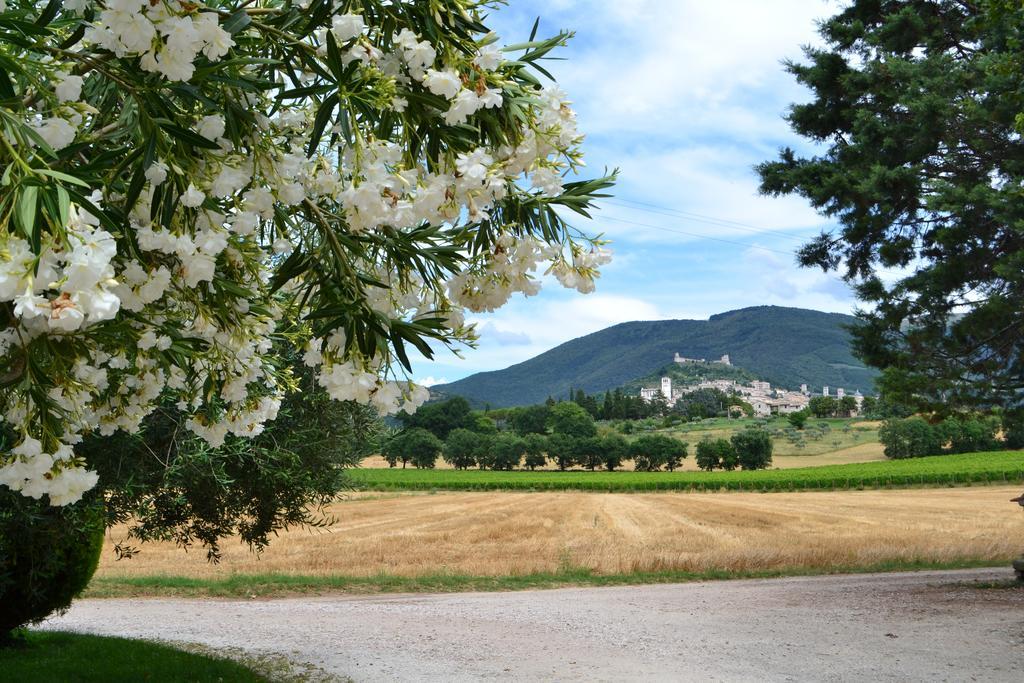 Camere I Monelli Assisi Eksteriør billede