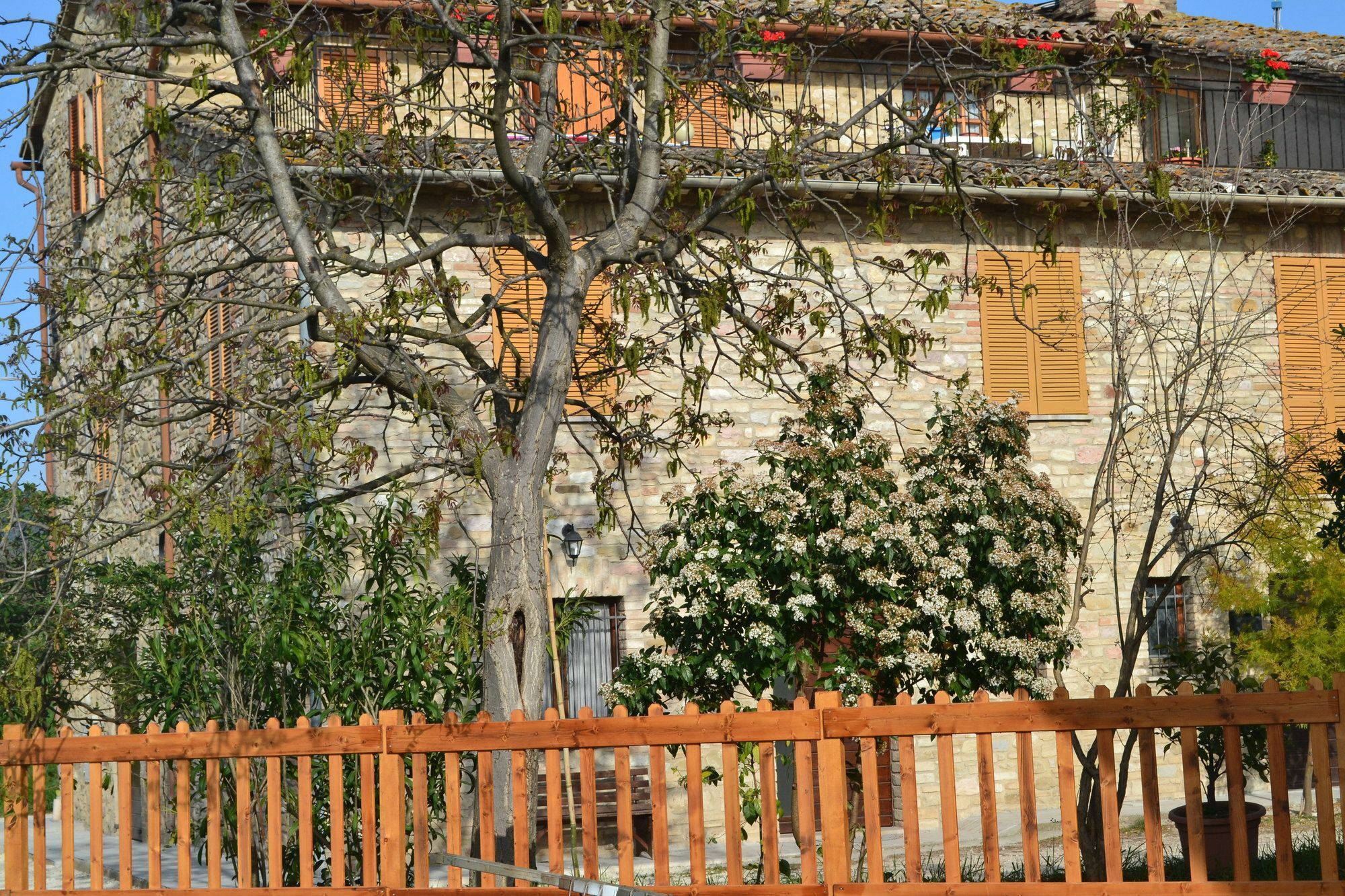 Camere I Monelli Assisi Eksteriør billede
